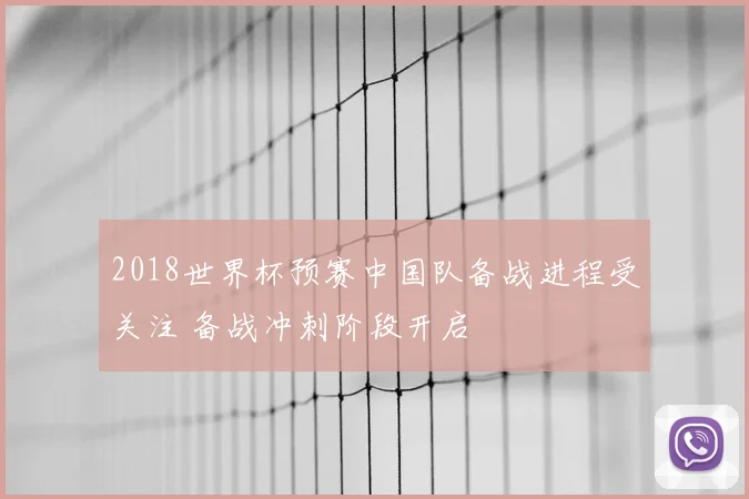 2018世界杯预赛中国队备战进程受关注 备战冲刺阶段开启