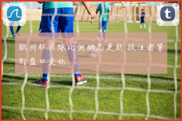 欧洲杯买球比例动态更新 投注者紧盯盘口变化