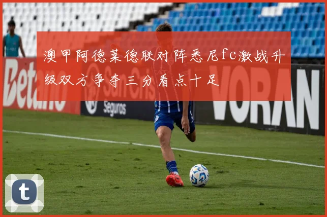 澳甲阿德莱德联对阵悉尼fc激战升级双方争夺三分看点十足